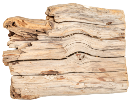 Weathered driftwood piece showing aging process isolated on transparent background