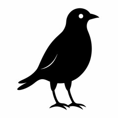 Obraz premium vector illustration of a bird