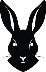 black and white rabbit