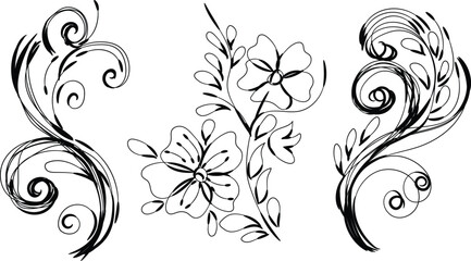 Elegant Black and White Floral Swirls and Flourishes Design Elements