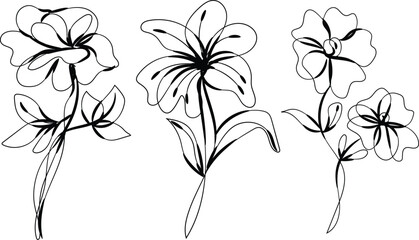 Elegant Line Art Floral Set Three Black Flowers Botanical Illustration