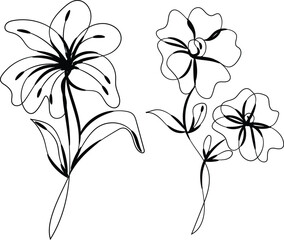 Elegant Line Art Floral Design Two Flowers Lily and Simple Flowers