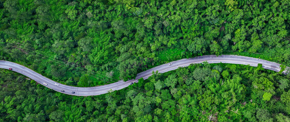 Aerial view green forest and asphalt road, Top view forest road going through forest with car adventure, Ecosystem ecology healthy environment road trip travel.