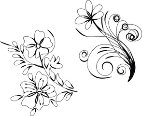 Elegant Black Line Art Floral Designs Two Separate Arrangements