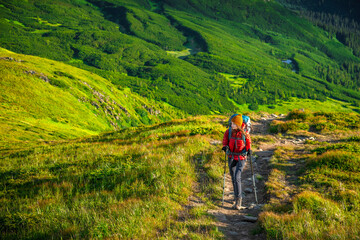 Obraz premium Young woman hiker with trekking poles and with a large backpack climbing stony trail in scenic green mountains