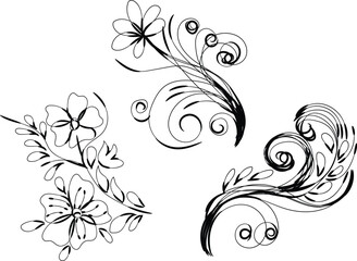 Three Elegant Black and White Floral Design Elements for Decoration