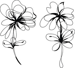 Abstract Line Art Floral Design Two Elegant Black Flowers