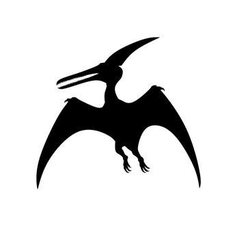 a silhouette illustration of a dinosaur named pterosaur in flight