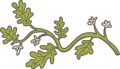 Watermelon Leafy Branch with Small Flowers