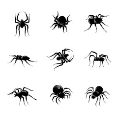 Halloween Collection of Black Spiders in Hand Drawn Style Isolated on White background. Doodle arachnid web perfect for cards, party invitations, web