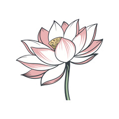 Lotus flower vector illustration. Sacred floral icon, elegant bloom, spiritual and nature design for decorative artwork.