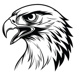 Obraz premium a-hawk-face-with-an-aggressive-expression-in-black.eps