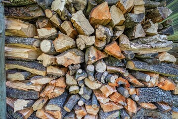 Neatly stacked firewood collection showing circular cut log ends with distinct tree rings. Freshly harvested timber stored in rustic pile against metal backdrop for winter heating supply.