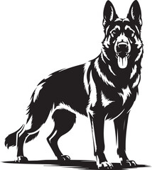 Fototapeta premium Strong black silhouette of alert German Shepherd dog standing with ears up and tongue out on white background illustration