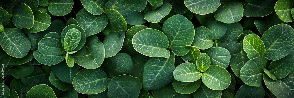 Aufkleber lush green leaves create vibrant and refreshing backdrop, showcasing intricate patterns and textures