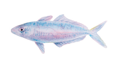 Watercolor illustration of a tropical fish resembling mackerel or small tuna. Soft marine colors, ideal for sea-themed designs, educational projects and travel materials