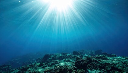 Submerged Light: The radiant sun beams pierce through the crystal-clear ocean water, creating a mesmerizing display of light and shadow, illuminating the ocean floor's textures.