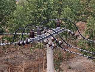 Power Transmission Lines on Electric Utility Pole Surrounded by Lush Greenery and Dry Landscape Elements
