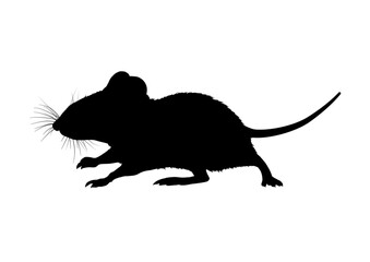 Mouse silhouette, outline – vector illustration