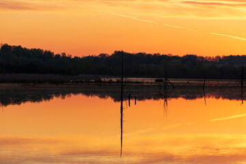 Deadwood in silhouette in the Léon-Provancher marsh during a colourful sunrise, Neuville, Quebec, Canada