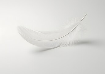 Fototapeta premium Soft White Feather on a Clean Background Minimalist Photography