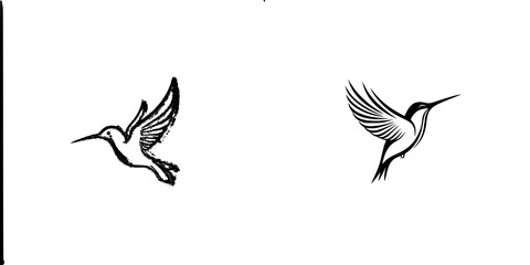 Vector illustration of two hummingbirds in flight showcasing distinct styles and details suitable for nature-themed projects