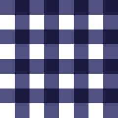 Fototapeta premium blue plaid