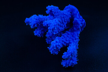 aquarium decor in the form of a coral on a black background