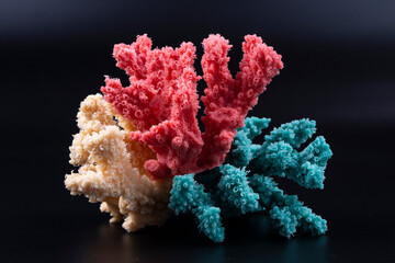 red coral on a black