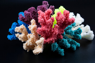 coral reef in the sea