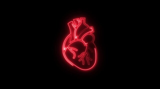 Glowing neon line A human Digestion Stomach Royalty- the liver icon animation. Glowing neon color Liver icon isolated on black background.4k video