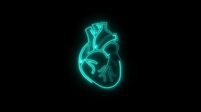 Glowing neon line A human Digestion Stomach Royalty- the liver icon animation. Glowing neon color Liver icon isolated on black background.4k video