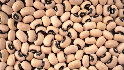 Uncooked black eyed peas. Health food concept.