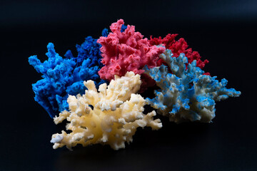 coral reef in the dark