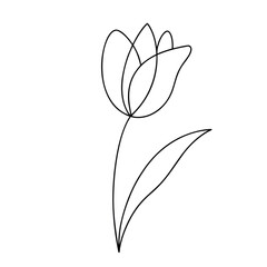 Obraz premium Elegant single line drawing of a tulip flower on a white background
