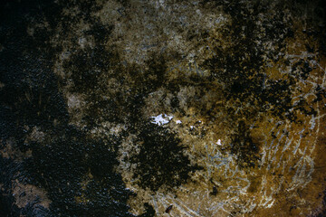 texture of the stone