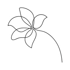 Elegant single line drawing of a blossoming flower with smooth curves