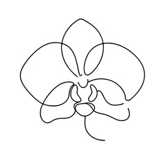 Minimalist single line drawing of a phalaenopsis orchid flower on white background