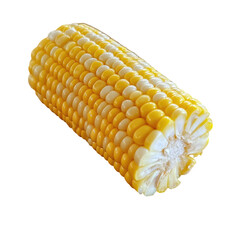 Fresh corn cob, half lengthwise