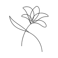 Elegant Single Line Drawing of a Flower with Delicate Petals and Stem