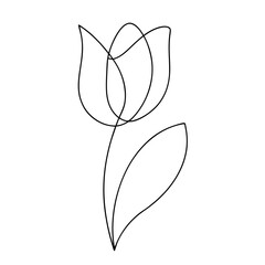 Single Line Drawing of a Minimalist Tulip on White Background Floral Art
