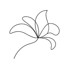 Minimalist single line drawing of a flower with elegant and flowing design