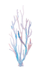 Hand-painted watercolor coral branch in soft blue and pink shades. Perfect for tropical vacation themes, underwater wildlife, diving adventures, marine decor, beach resorts, and summer designs.
