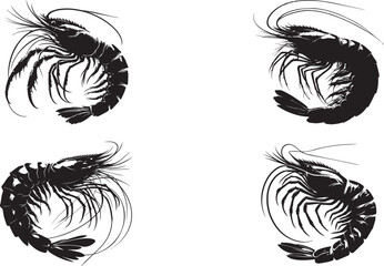 Obraz premium Four Stylized Shrimp Silhouettes