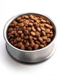 Dog food in a stainless steel bowl, close-up studio shot on white background, pet nutrition, healthy eating for animals, balanced diet