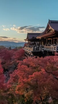Kyoto Japan time lapse day to night sunset at Kiyomizu dera temple in autumn season (Vertical)