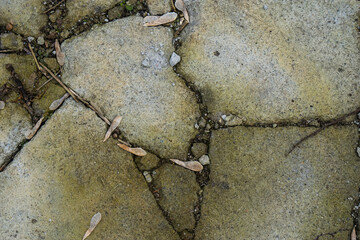 texture of the old wall