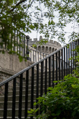 Discover the hidden oasis of Dubh Linn Garden, nestled behind Dublin Castle. A tranquil spot where history meets nature, perfect for a relaxing break or a peaceful walk in the heart of the city.