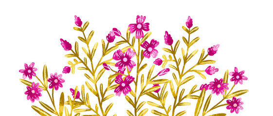 Plant blank header. Pink wild field spring herbs and flowers watercolor hand drawn blossom card illustration on isolated background. Petal greenery
