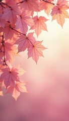 Fototapeta premium Elegant blush pink, ethereal leaf dappling, summer serenity, design, blush background, light pink background